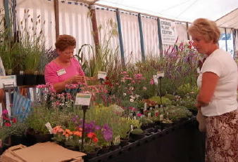 Alpines and Grasses at Sandringham Flower Show